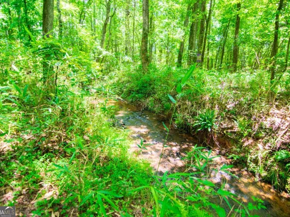0 White Rd, Pine Mountain, GA 31822