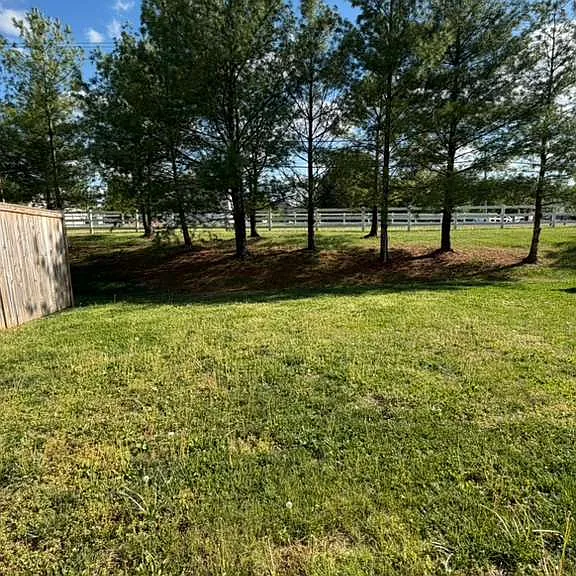 38 Lombard Ln — Photo 35