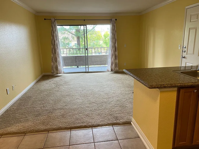 1023 Vista Del Cerro Dr #203 — Photo 9