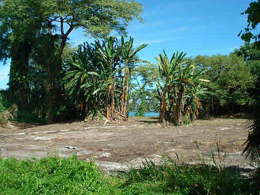 4th image of 265C Kekuanaoa St Lot 7
