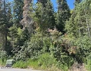 5th image of 390 Aspen Dr #25