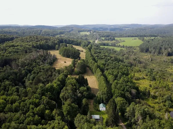 Goddards Rd, Mount Vision, NY 13810