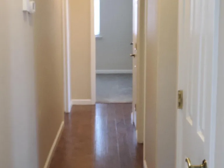 1566 Persimmon St #1 — Photo 8