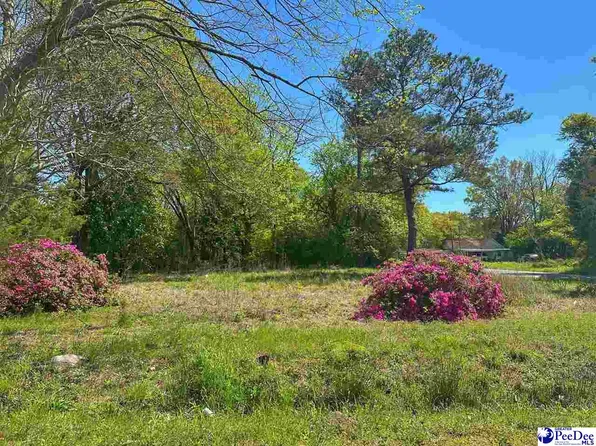 411 S 4th Ave, Dillon, SC 29536