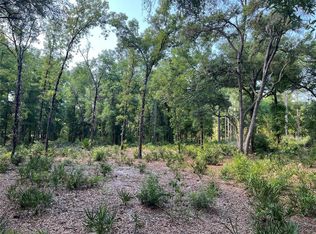 SW 151st Pl, Dunnellon, FL 34432