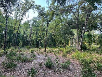 SW 151st Pl, Dunnellon, FL, 34432