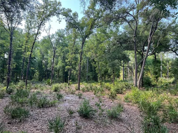 SW 151st Pl, Dunnellon, FL 34432