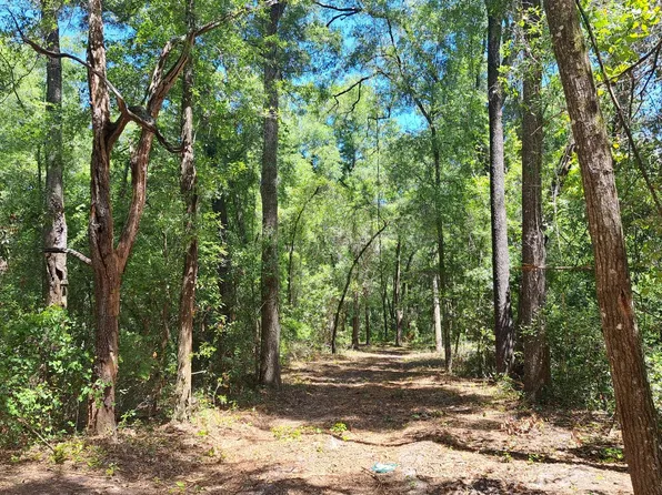 4359 288th St, Branford, FL 32008