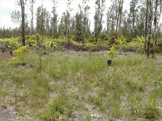 3rd image of Road 9 Koloa Maoli Lot 5402