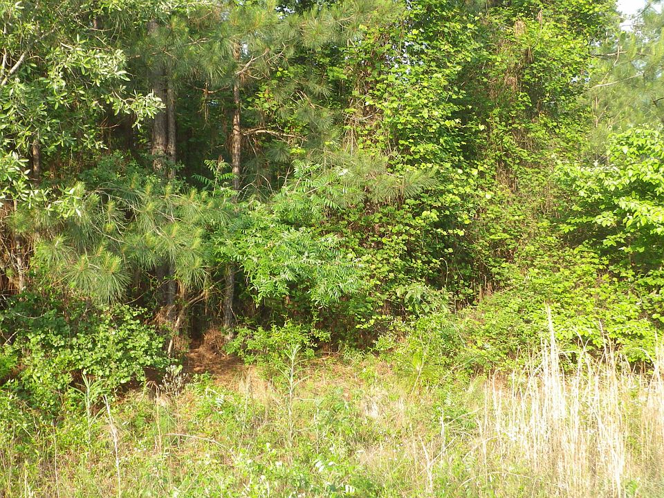 2nd image of 0 Gunter's Mill Rd