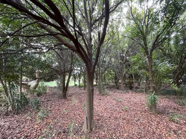 Puka St Lot 3, Naalehu, HI 96772