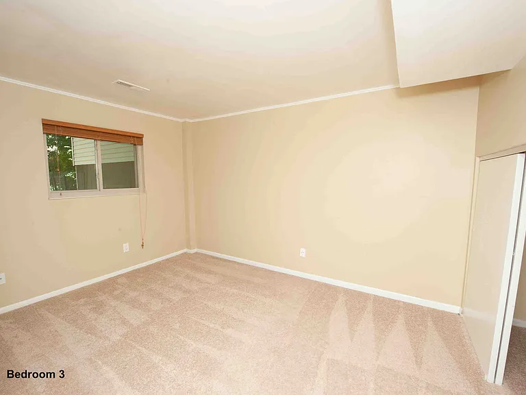 973 Hollow Creek Dr — Photo 25