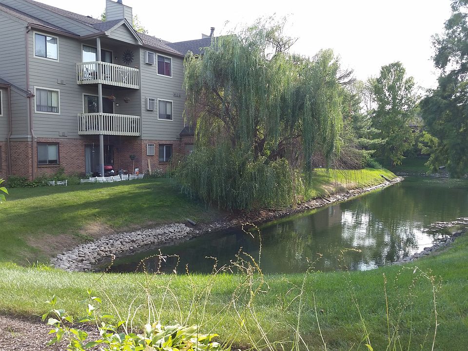 View of the Pond