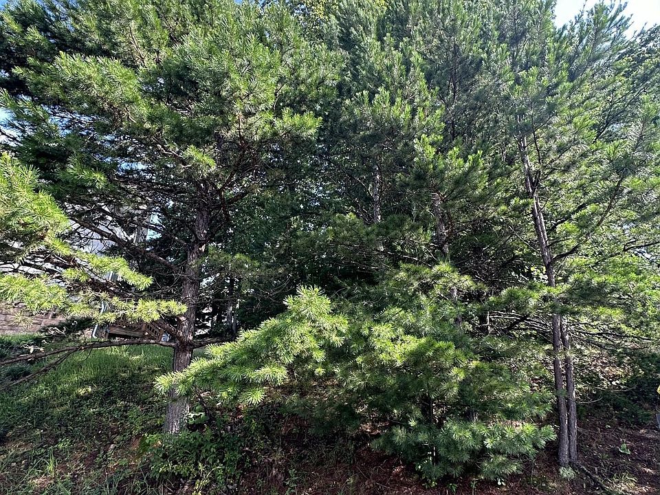 2nd image of 0 Abbey Cv NE