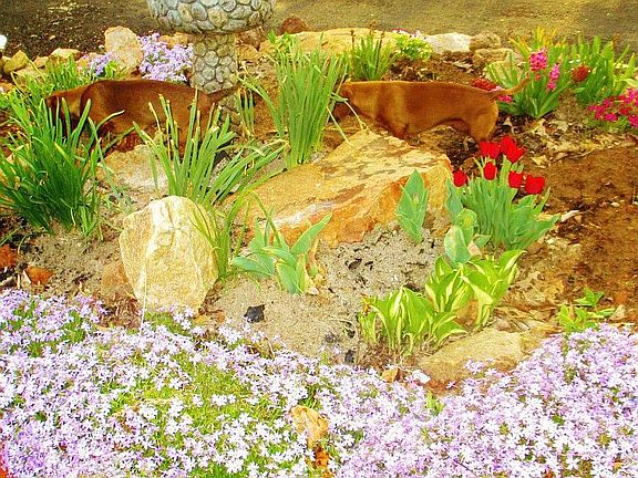 rock garden in driveway