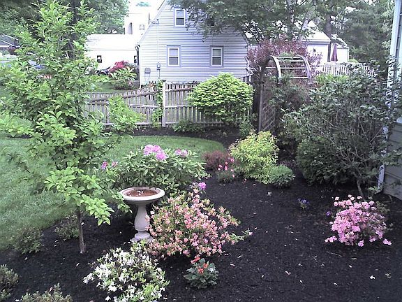 Front Left Side Garden