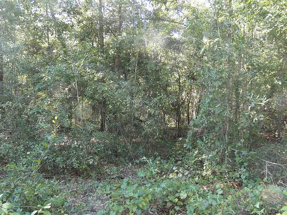 2nd image of Sheats Rd