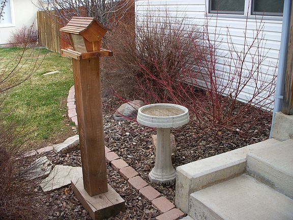 Birds love to eat and bathe here.