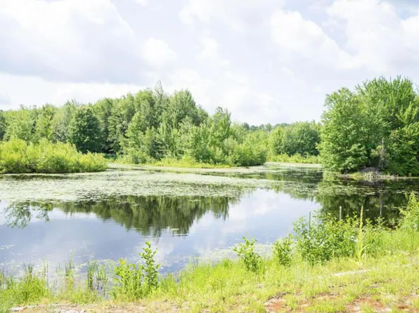 57 Pinewood Dr, Altona, NY 12910