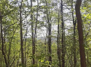 LOT 4 Country Mountain Rd, Cosby, TN 37722