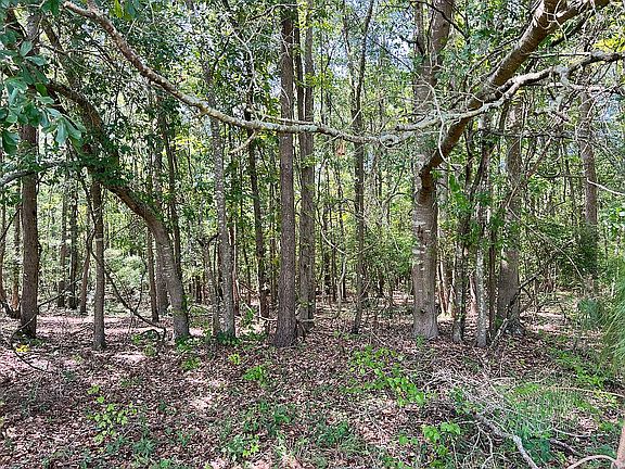 2nd image of LOT 24 Little Coharie Ln