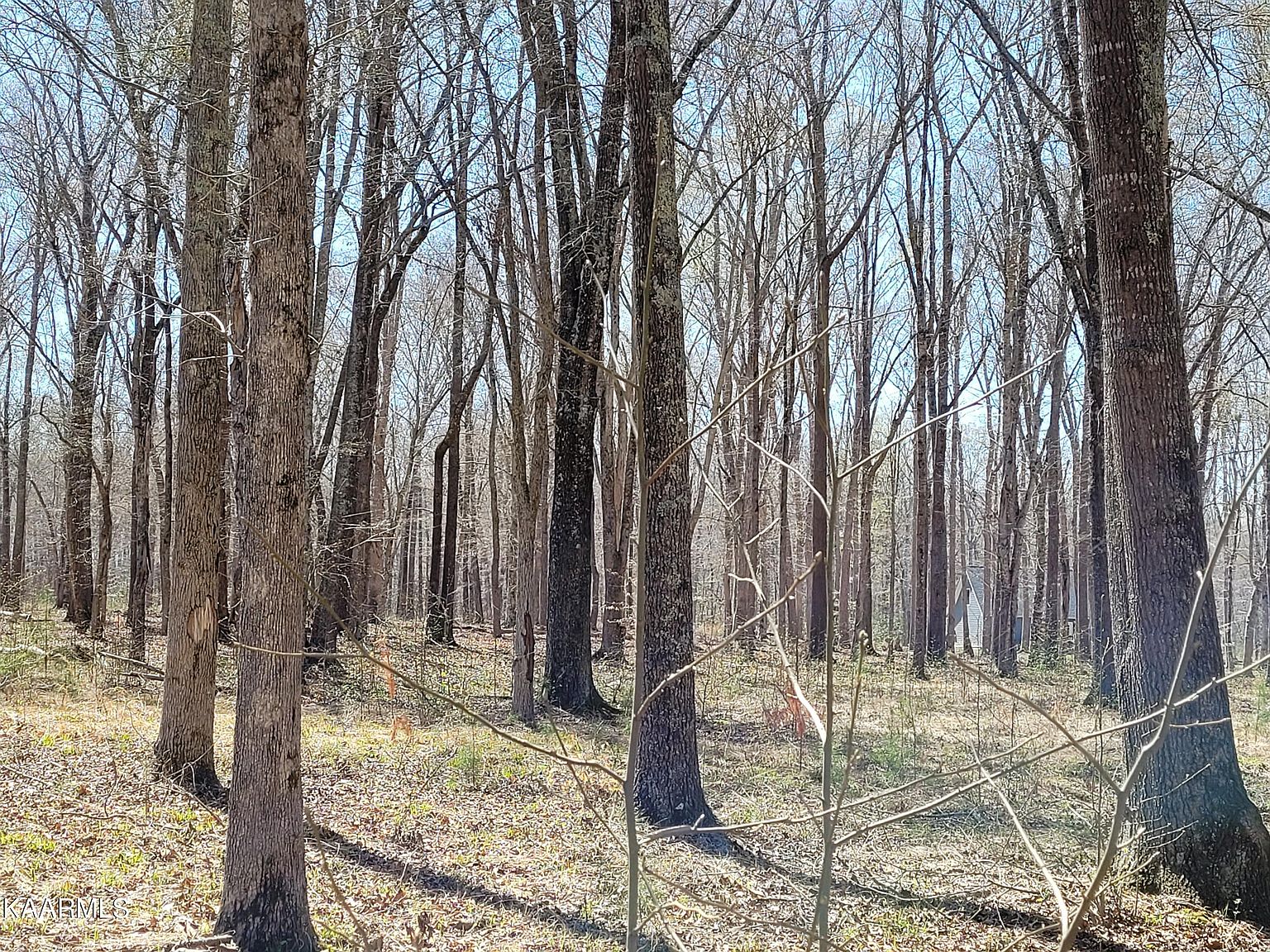 Sunset Harbor Dr 23, Dandridge, TN 37725 Zillow