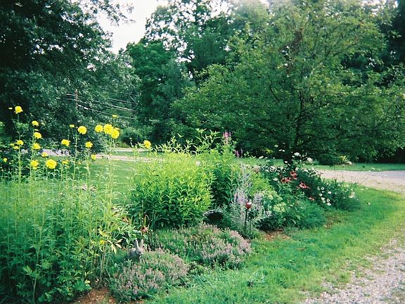 front garden