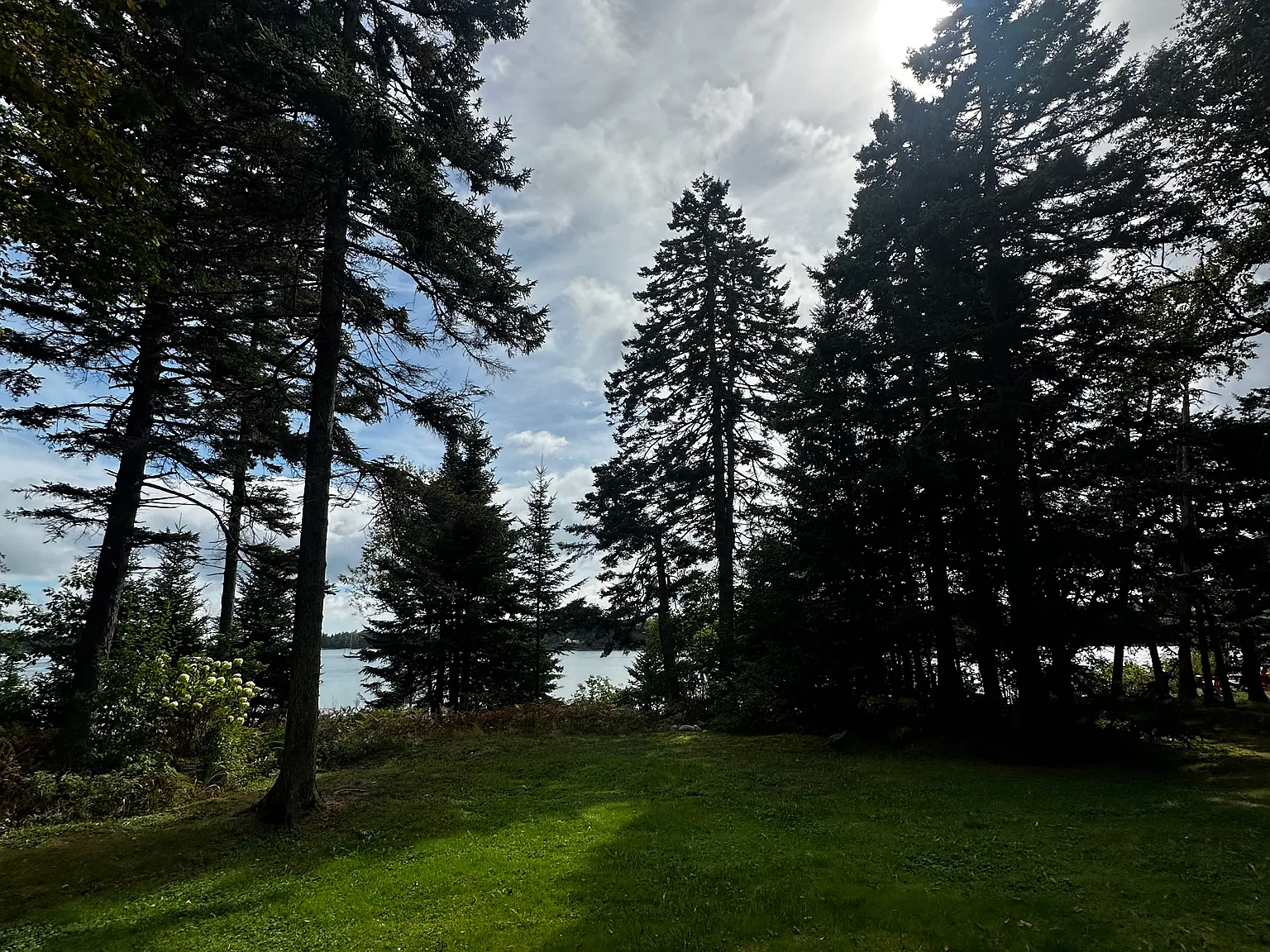 1 bed, 600 sqft, $1,600 — Photo 3