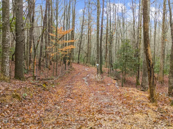 5 Still Rd, Dahlonega, GA 30533