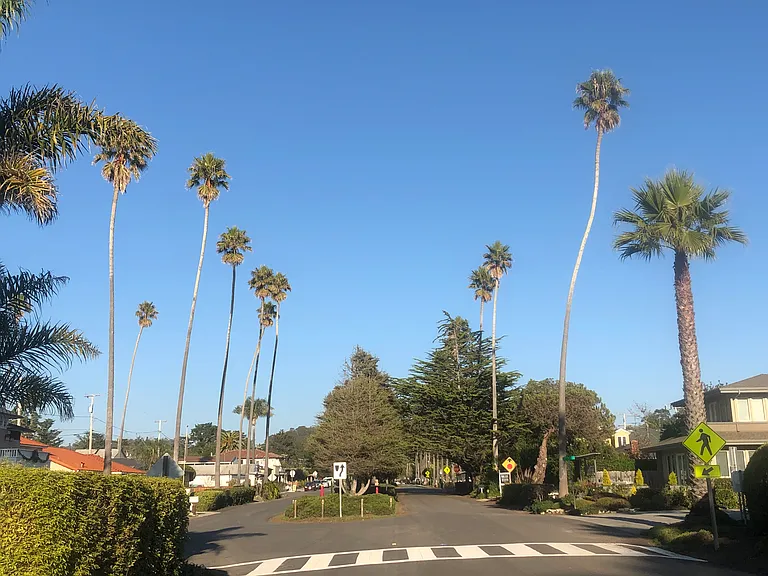 Playa Blvd — Photo 7