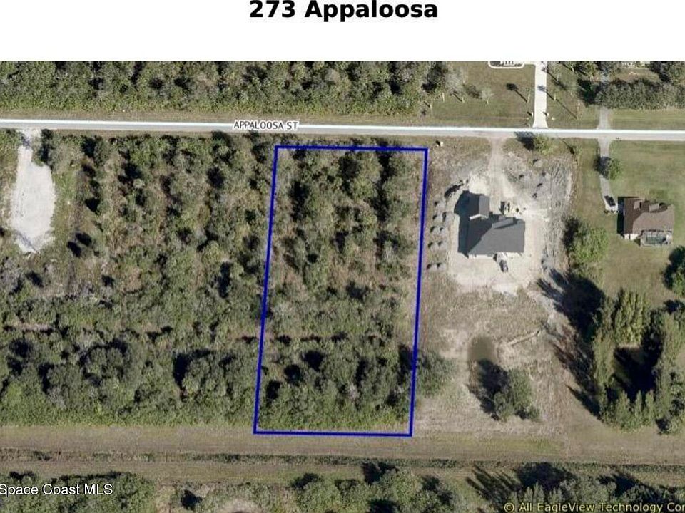 1st image of 273 Appaloosa St