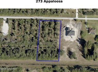 273 Appaloosa St, Palm Bay, FL 32909