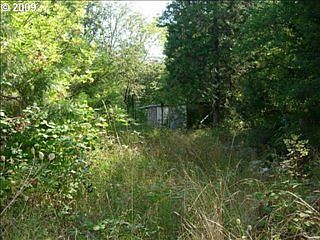 4th image of 1343 Stearns Ln