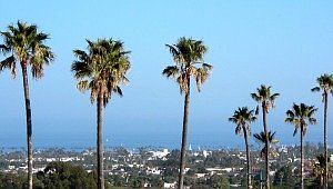 1st image of 601 E Micheltorena St Unit 84