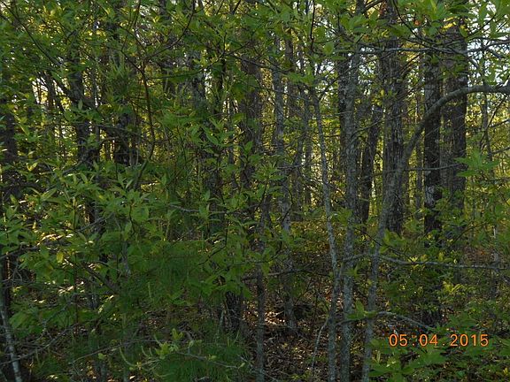 4th image of 154 Will Dr