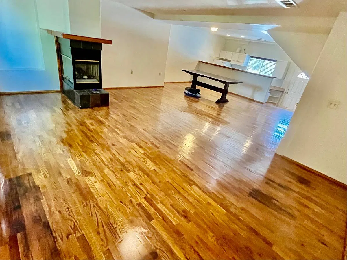 2 bed, 1200 sqft, $3,500 — Photo 3