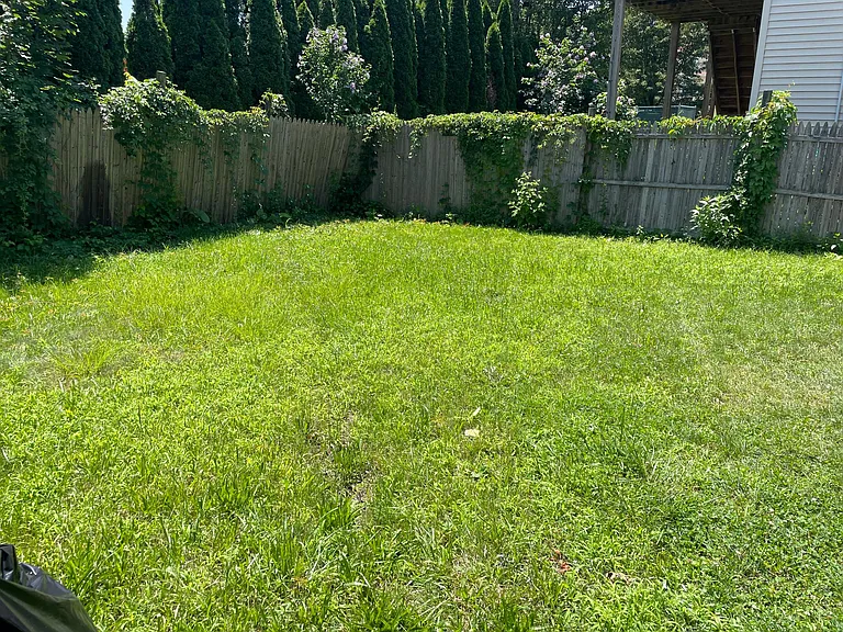 20 Diamond St #1R — Photo 17