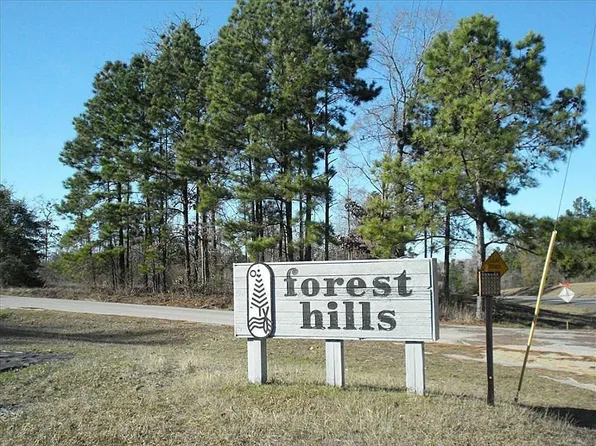 0 Loper Lake Dr, Livingston, TX 77351