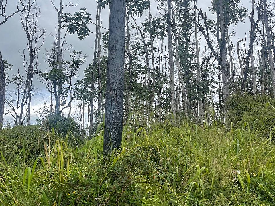1st image of 16-2147 Kuhio Dr Lot 73
