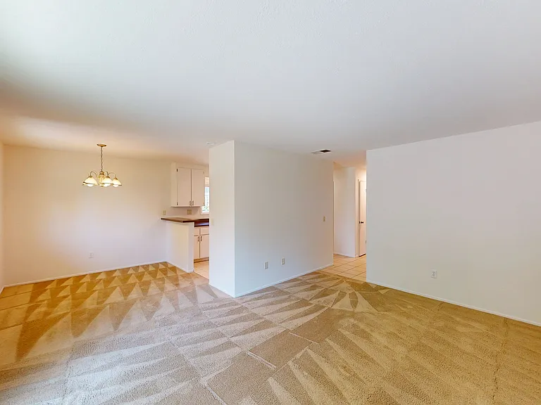 348 Robinson St #4 — Photo 7
