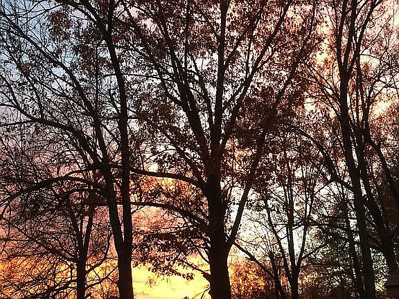 Home faces South/West sunset