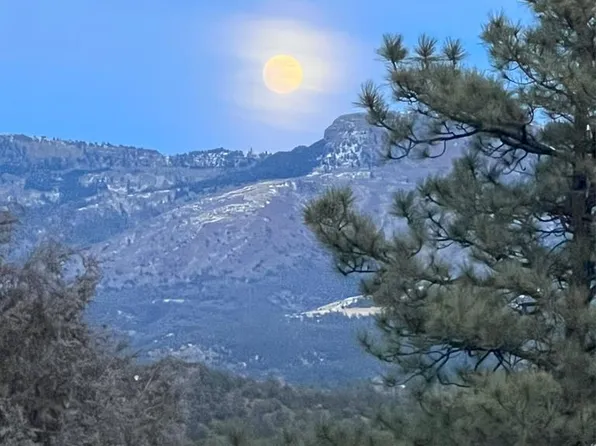 33020 Meadow Ct, Trinidad, CO 81082