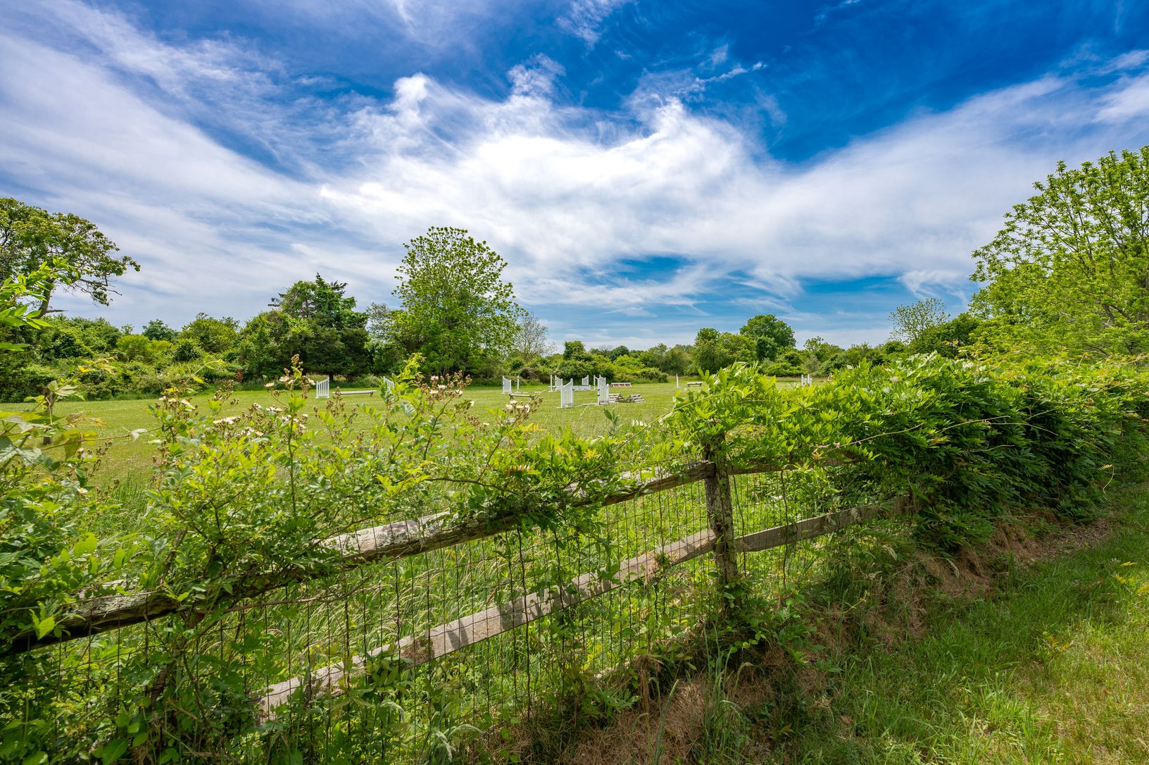  Horse farm views