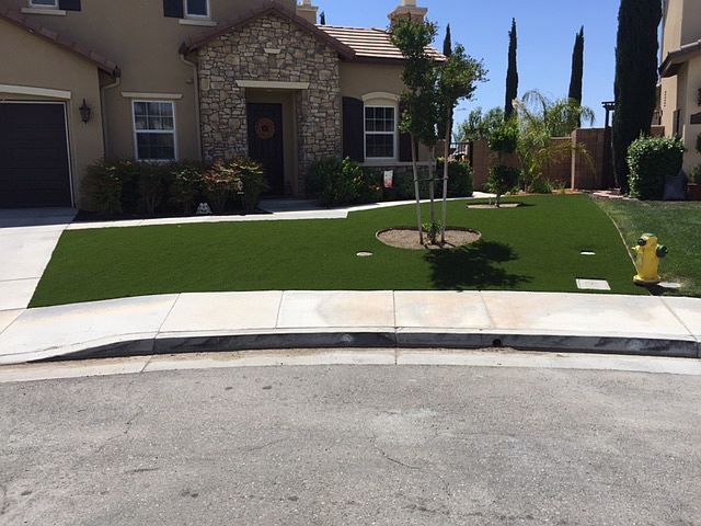 Turf throughout the yard