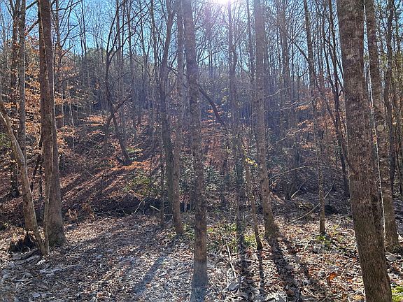 4th image of County Road 325