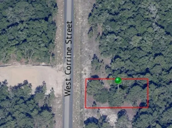 2055 W Corrine St, Citrus Springs, FL 34434