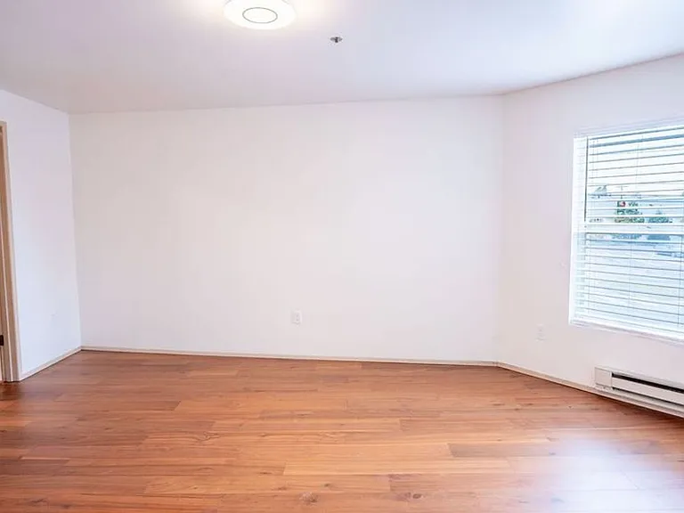3401 Pacific Ave — Photo 7