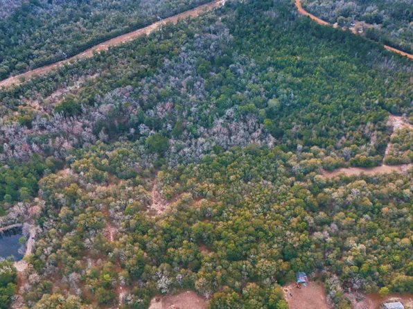 0 Lovely Grove Church Rd, Eastman, GA 31023