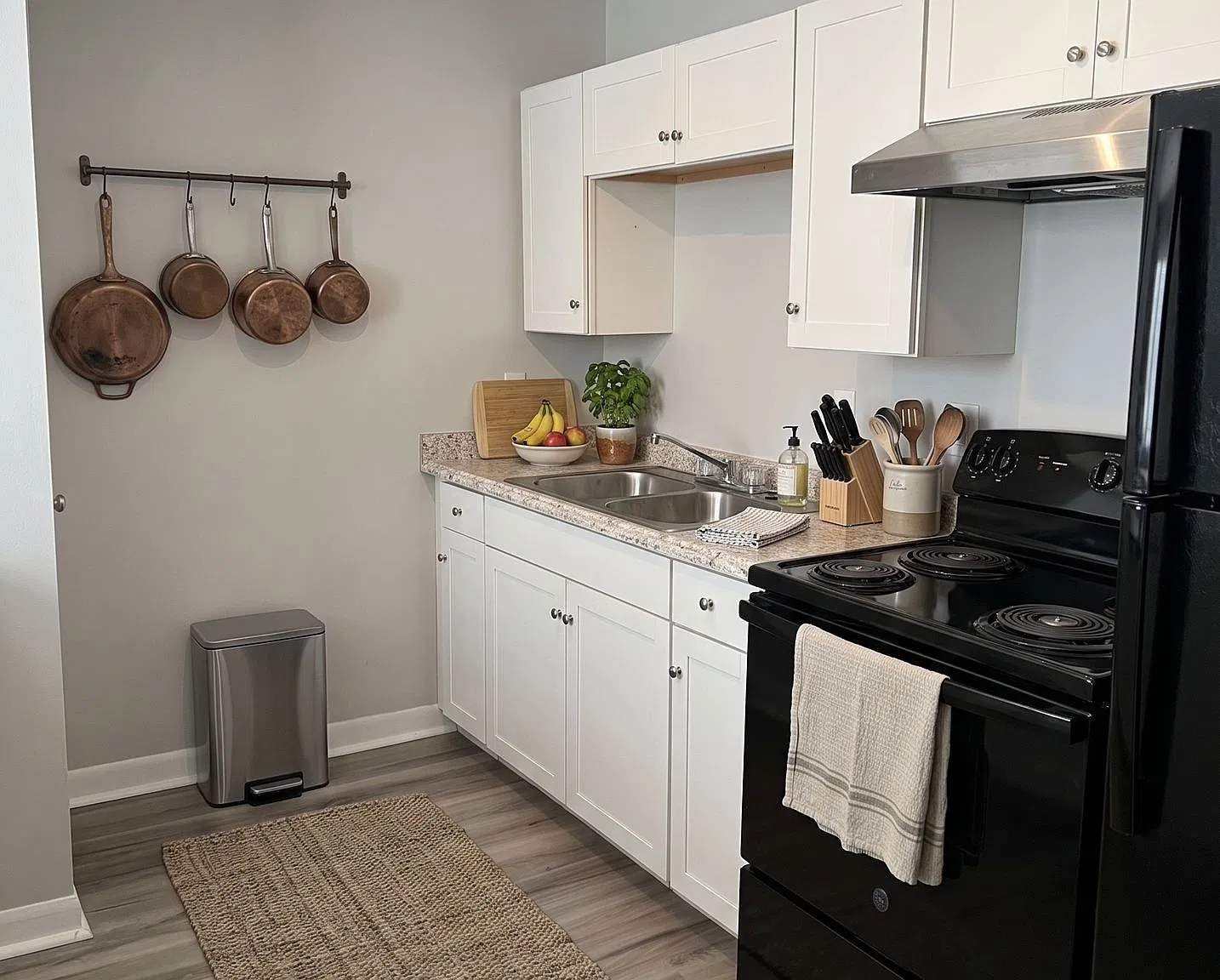 NEWLY RENOVATED - Royal Ridge Apartments — Photo 3