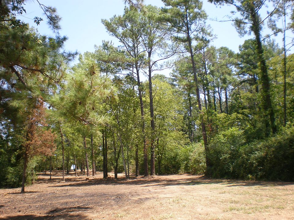 2nd image of 12855 Bruce Rd